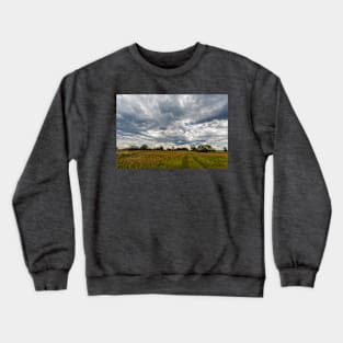 Stormy clouds over meadow Crewneck Sweatshirt